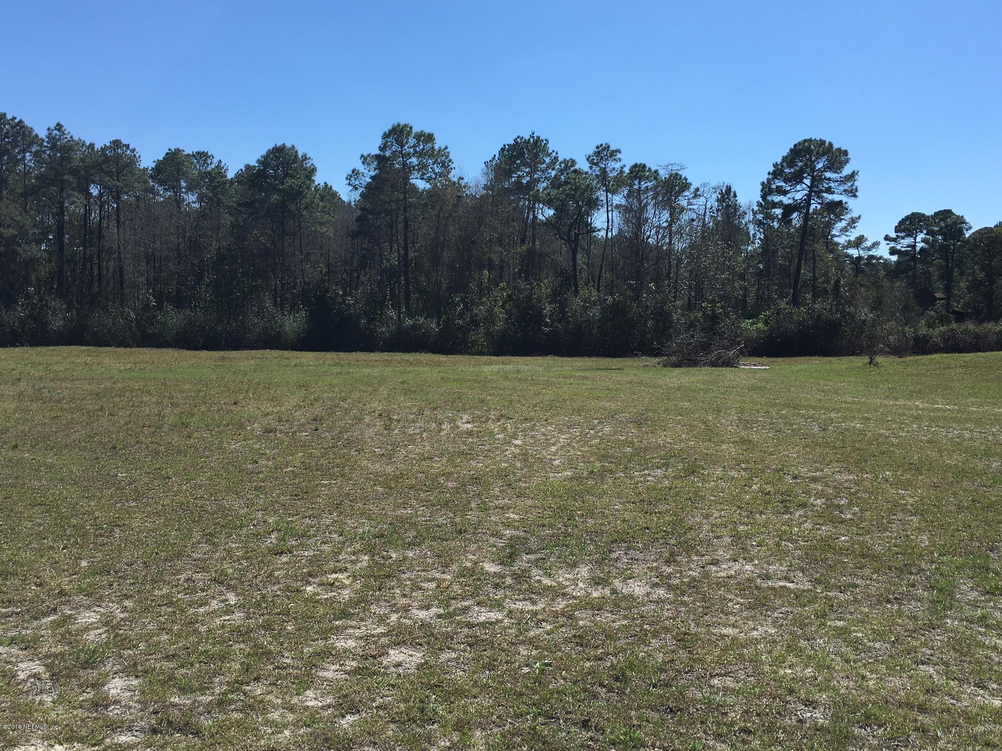 949 Browns Road Middleburg, FL 32068 - Photo 28 of 31 VIew of Yard
