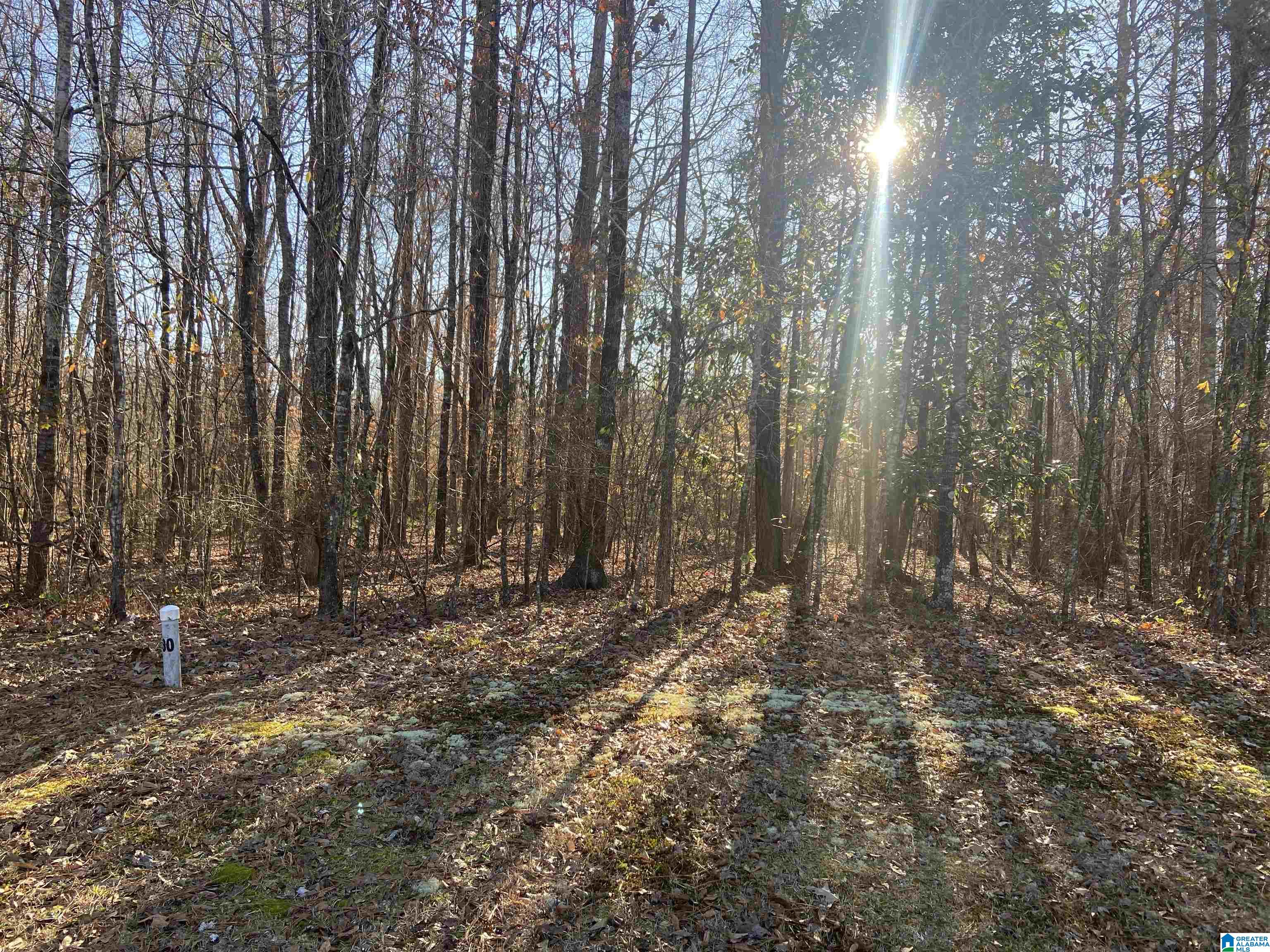 Moores Mill Road, Unit 30 Lanett, AL 36863 - Photo 2 of 3