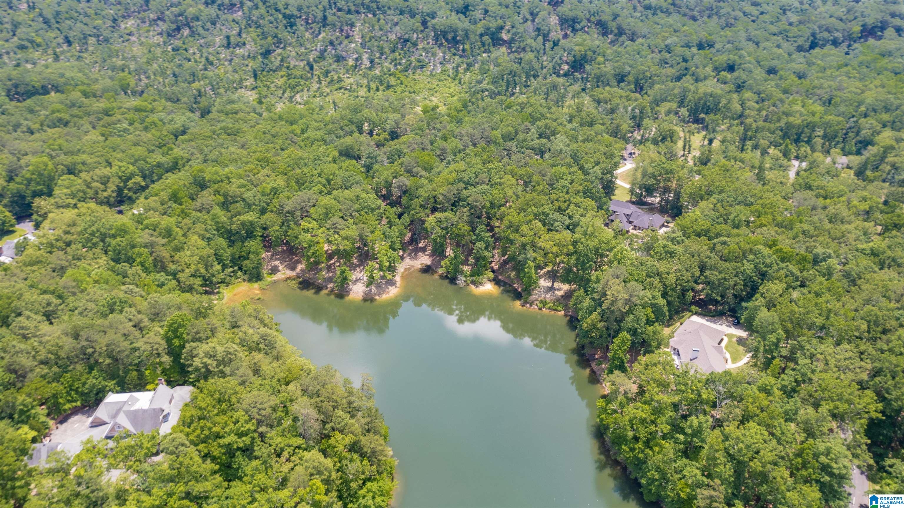 502 Carnousite Birmingham, AL 35242 - Photo 6 of 61