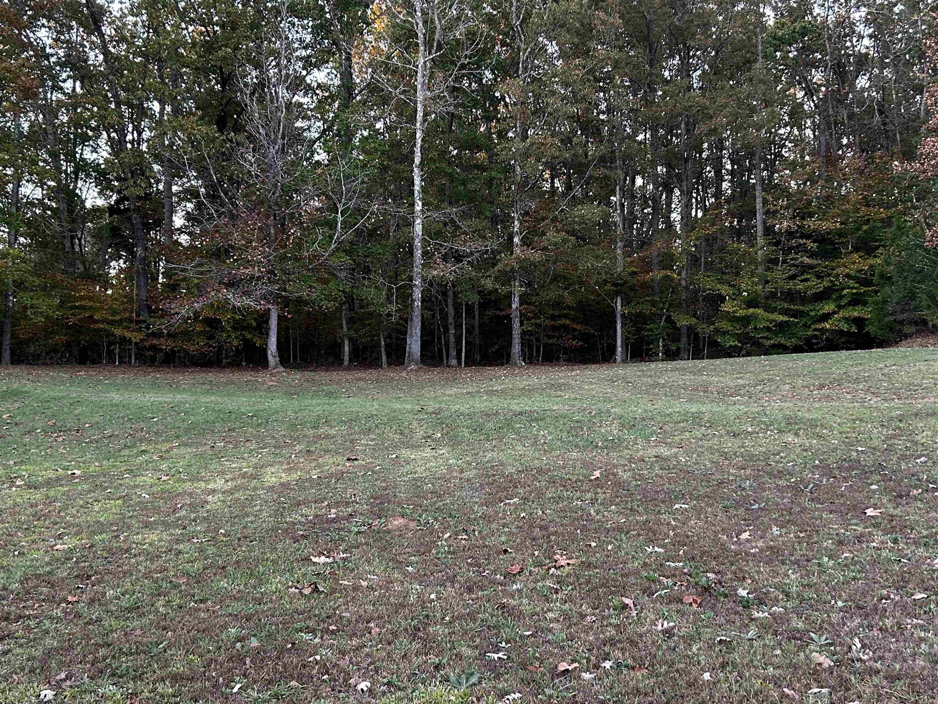 437 Wayne Elam Road Ramer, TN 38367 - Photo 7 of 16 View of yard