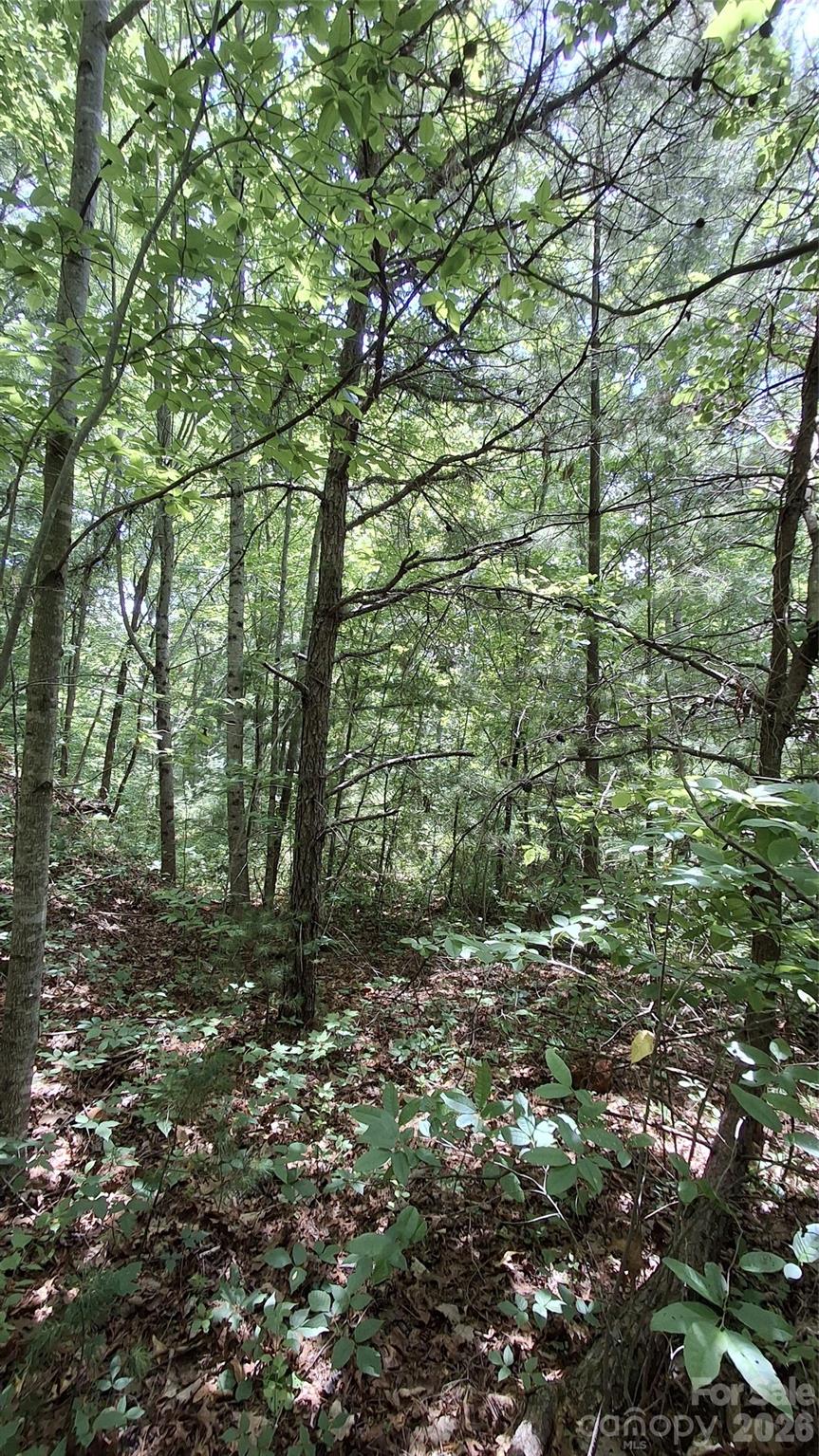 112 Kako Ridge, Unit 59 Sylva, NC 28779 - Photo 18 of 18