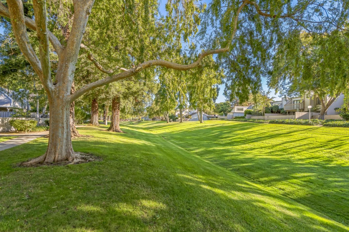 5348 Brookside Court Pleasanton, CA 94588 - Photo 29 of 30 a view of a trees in front of a big yard with large trees