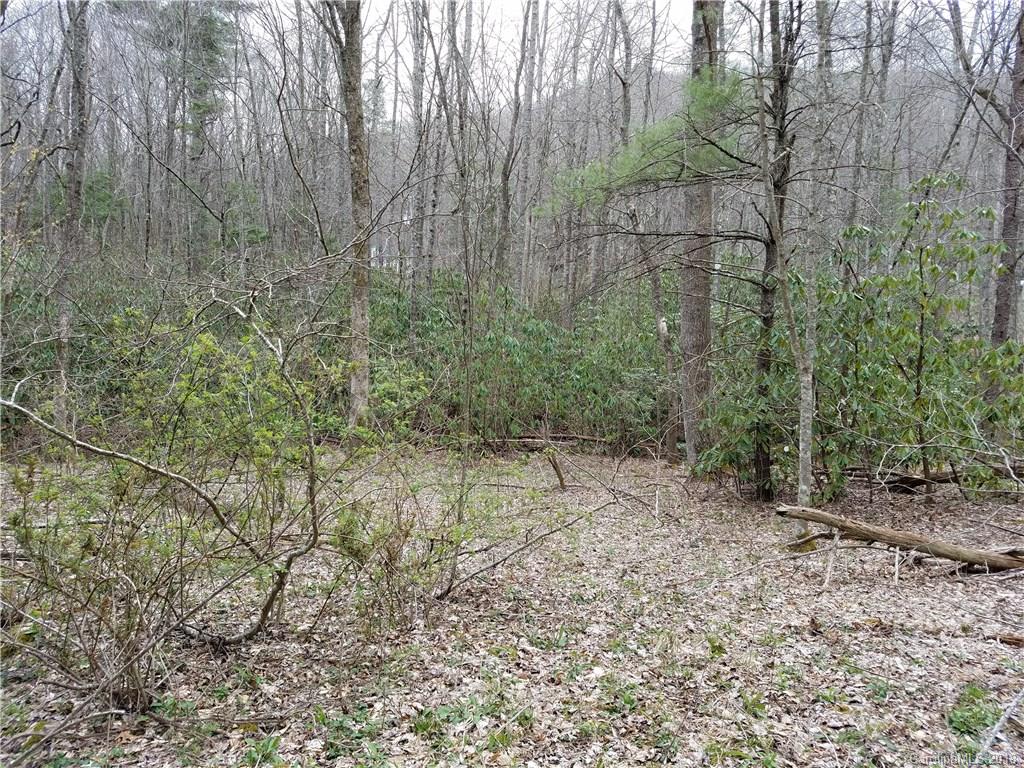 Tbd Long Branch Road, Unit REMAINDER Swannanoa, NC 28778 - Photo 1 of 23 Gallery Image 1