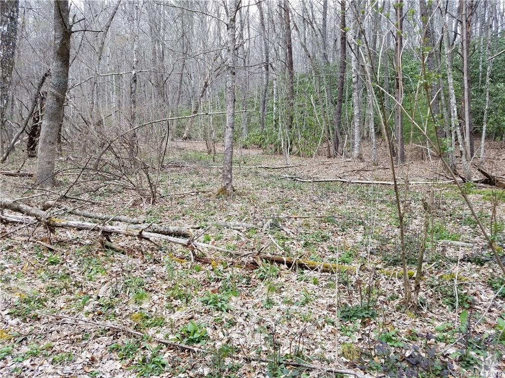 Tbd Long Branch Road, Unit REMAINDER Swannanoa, NC 28778 - Photo 2 of 23 Gallery Image 2