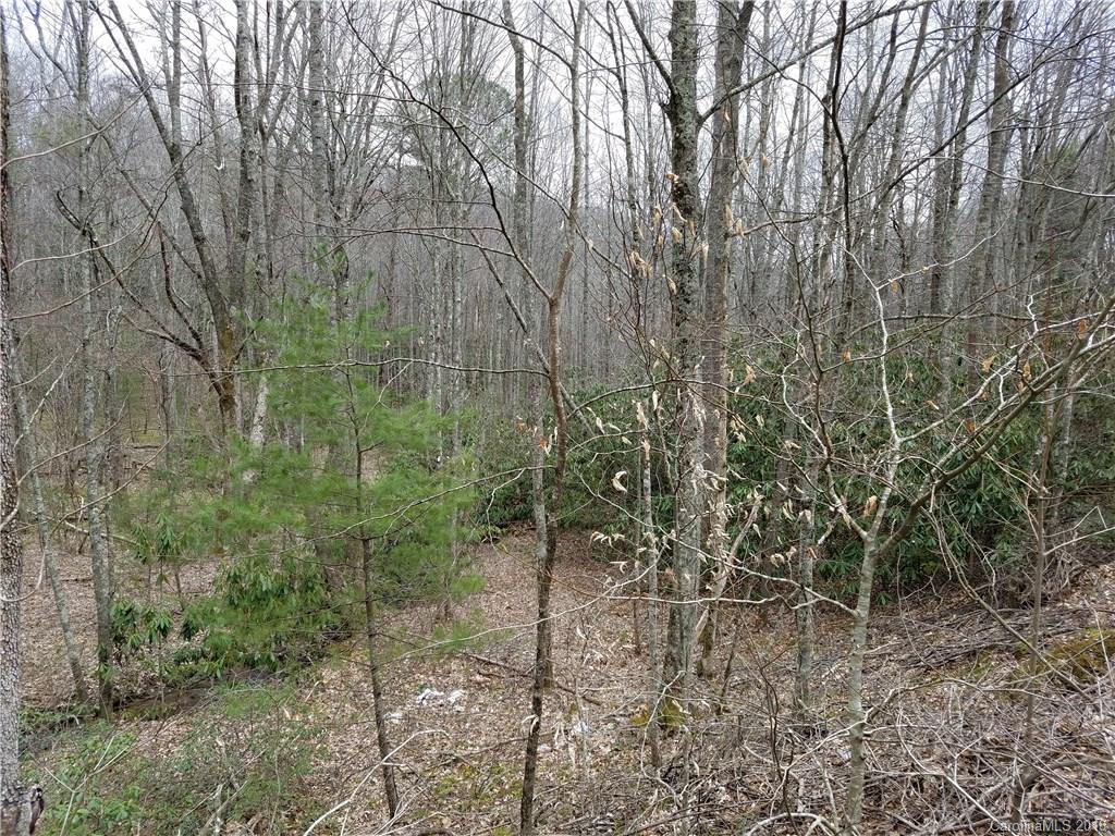 Tbd Long Branch Road, Unit REMAINDER Swannanoa, NC 28778 - Photo 11 of 23 Gallery Image 11