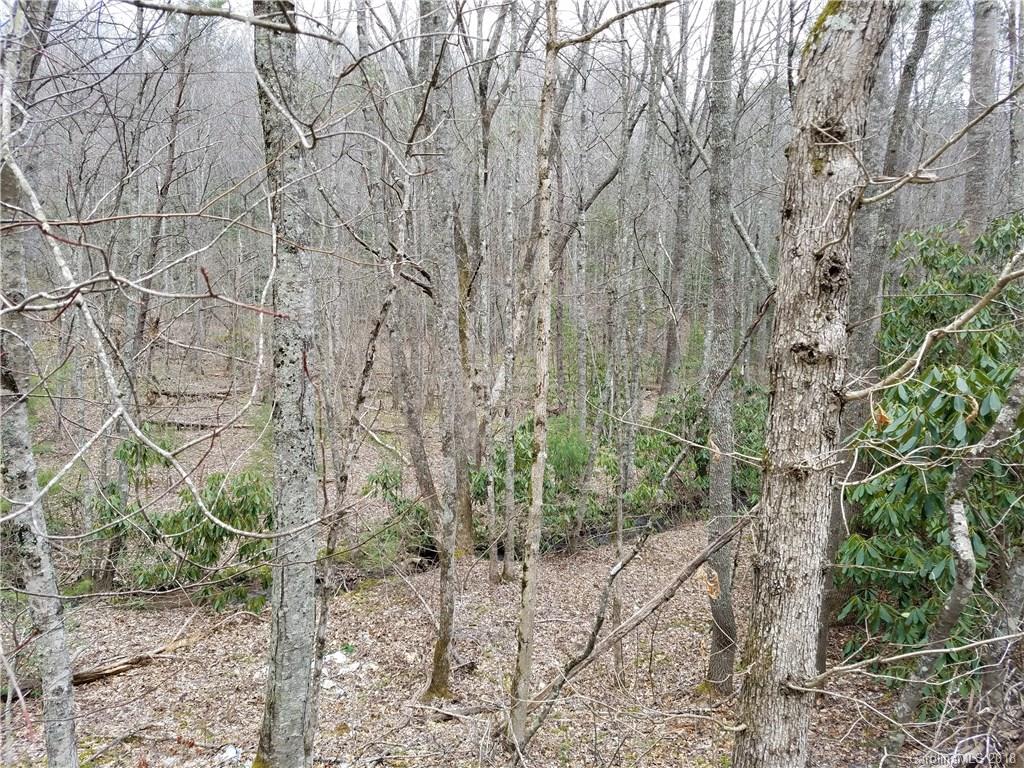 Tbd Long Branch Road, Unit REMAINDER Swannanoa, NC 28778 - Photo 12 of 23 Gallery Image 12