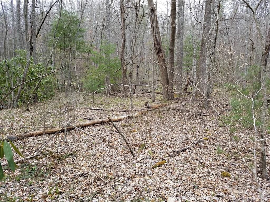 Tbd Long Branch Road, Unit REMAINDER Swannanoa, NC 28778 - Photo 14 of 23 Gallery Image 14