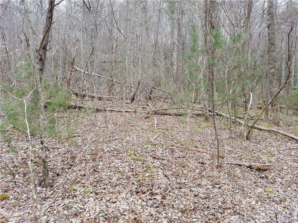 Tbd Long Branch Road, Unit REMAINDER Swannanoa, NC 28778 - Photo 15 of 23 Gallery Image 15