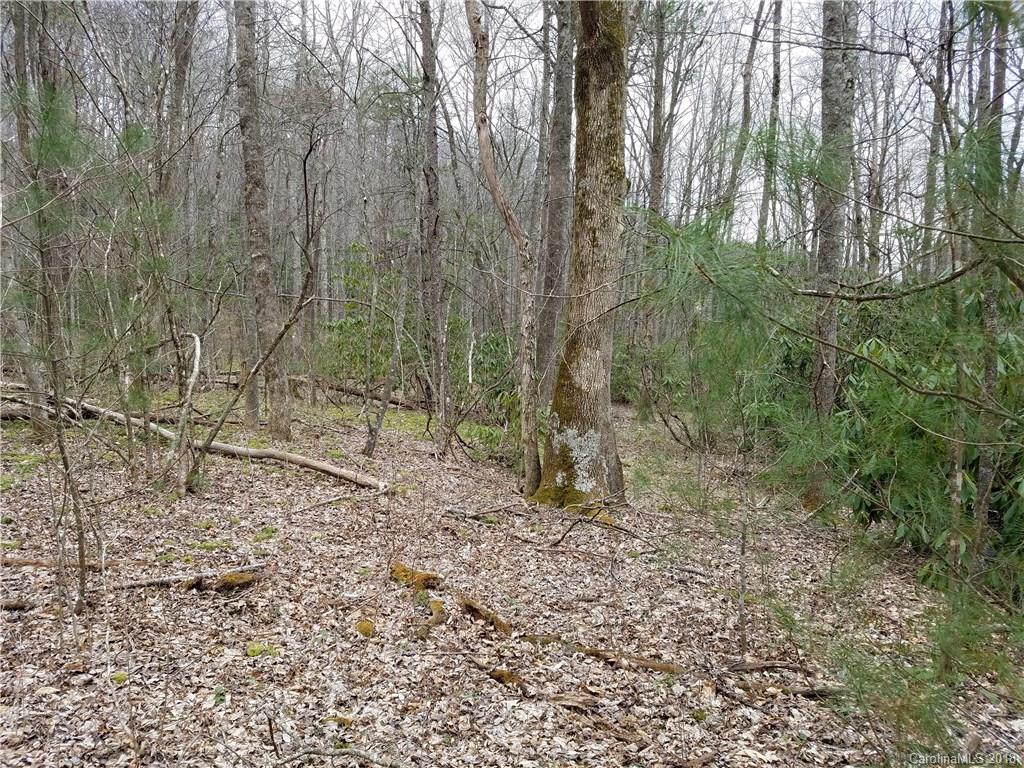 Tbd Long Branch Road, Unit REMAINDER Swannanoa, NC 28778 - Photo 16 of 23 Gallery Image 16