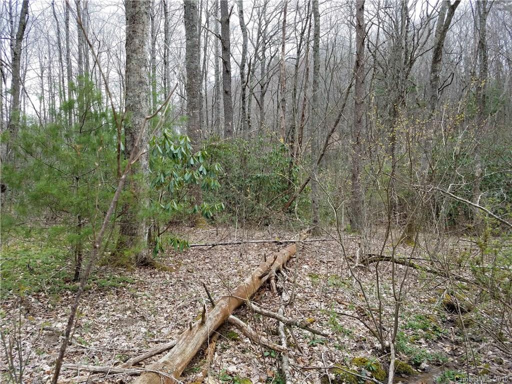 Tbd Long Branch Road, Unit REMAINDER Swannanoa, NC 28778 - Photo 18 of 23 Gallery Image 18