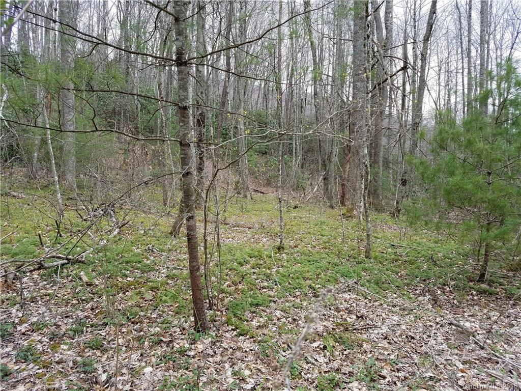Tbd Long Branch Road, Unit REMAINDER Swannanoa, NC 28778 - Photo 19 of 23 Gallery Image 19