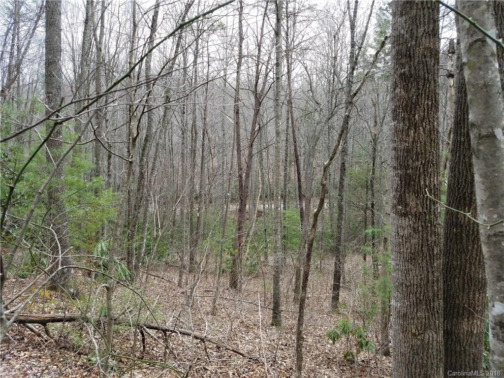 Tbd Long Branch Road, Unit REMAINDER Swannanoa, NC 28778 - Photo 20 of 23 Gallery Image 20