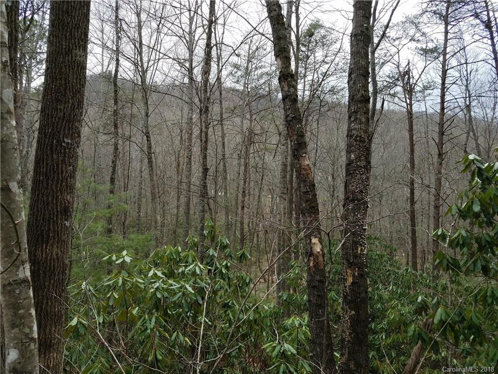 Tbd Long Branch Road, Unit REMAINDER Swannanoa, NC 28778 - Photo 21 of 23 Gallery Image 21