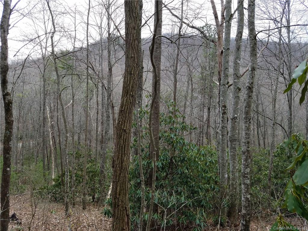 Tbd Long Branch Road, Unit REMAINDER Swannanoa, NC 28778 - Photo 22 of 23 Gallery Image 22