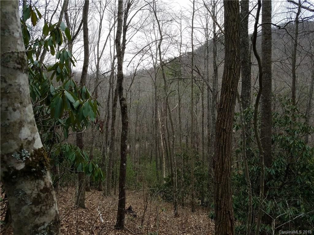Tbd Long Branch Road, Unit REMAINDER Swannanoa, NC 28778 - Photo 23 of 23 Gallery Image 23