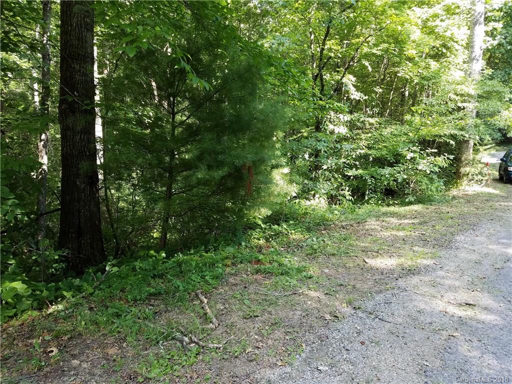 Tbd Long Branch Road, Unit REMAINDER Swannanoa, NC 28778 - Photo 9 of 23 Gallery Image 9