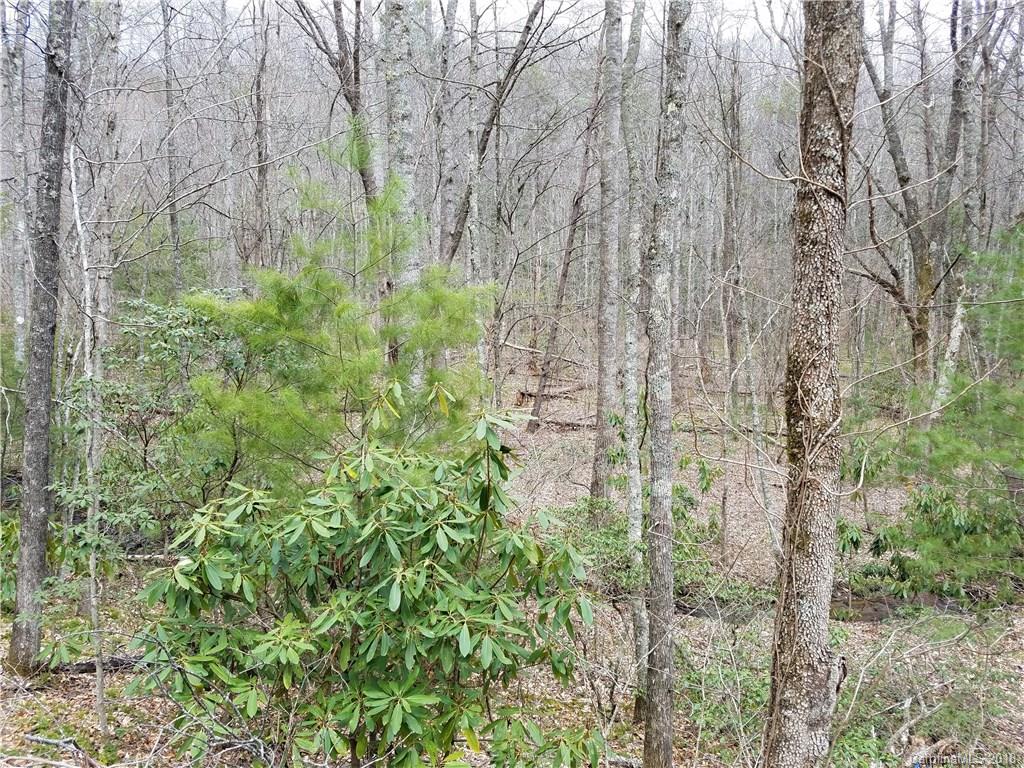 Tbd Long Branch Road, Unit REMAINDER Swannanoa, NC 28778 - Photo 10 of 23 Gallery Image 10