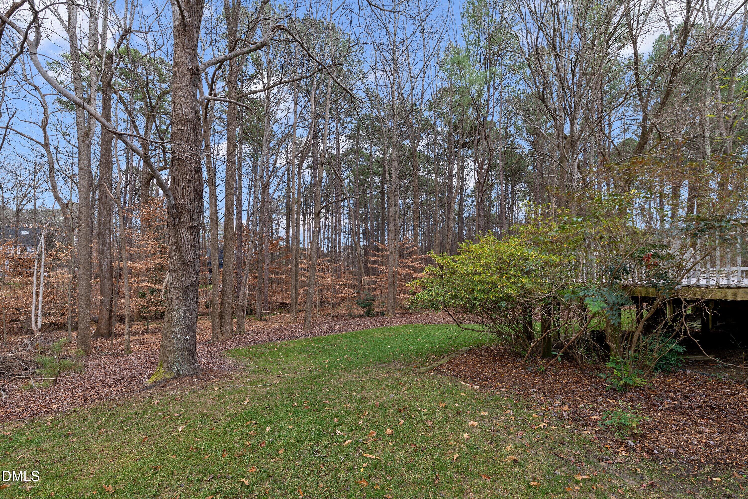 908 Streamer Court Raleigh, NC 27614 - Photo 49 of 55 49-908 Streamer Ct _3002