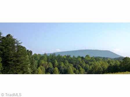 1358 Bud Tilley Road Pinnacle, NC 27043 - Photo 2 of 7 Other.