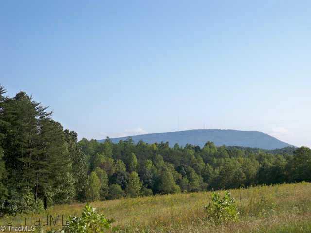 1358 Bud Tilley Road Pinnacle, NC 27043 - Photo 4 of 7 Other.
