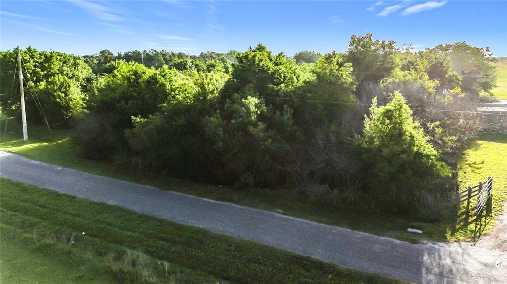 0 Old Hickory Tree Road St. Cloud, FL 34772 - Photo 9 of 16