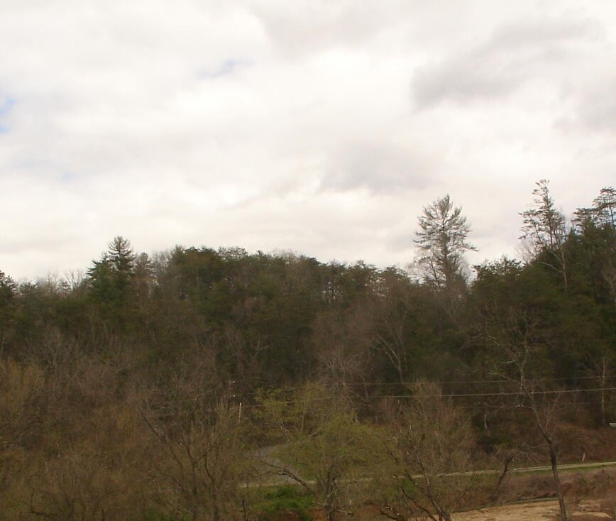 1 Jones Cove Road Sevierville, TN 37876 - Photo 6 of 12