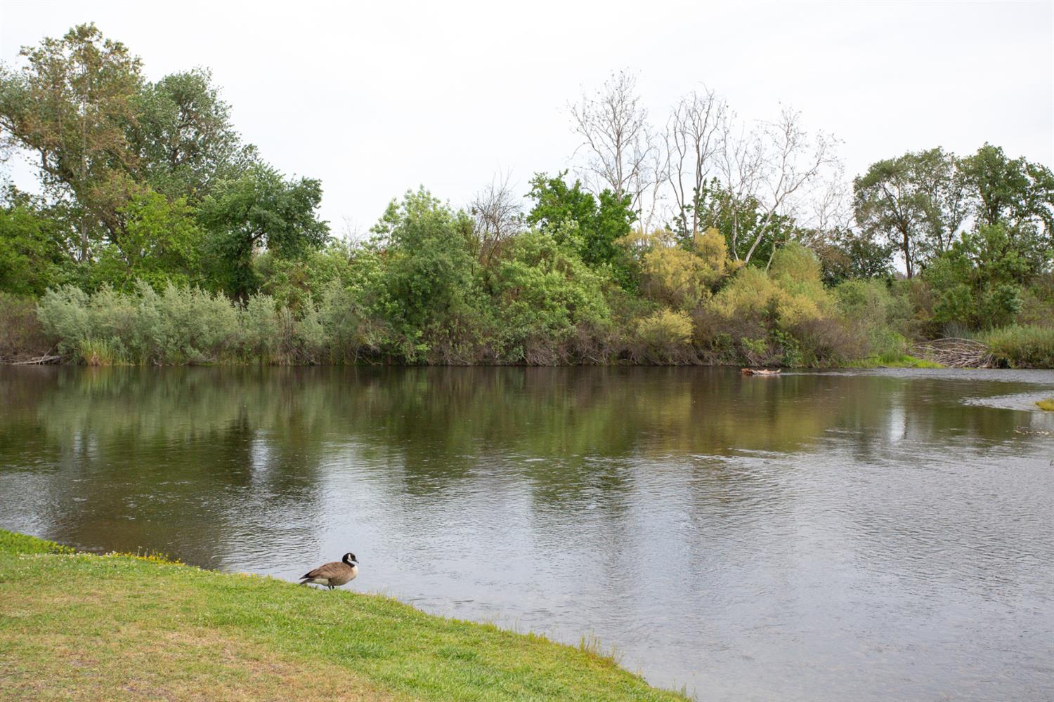 8701 Highway 41, Unit 50 Fresno, CA 93720 - Photo 37 of 38
