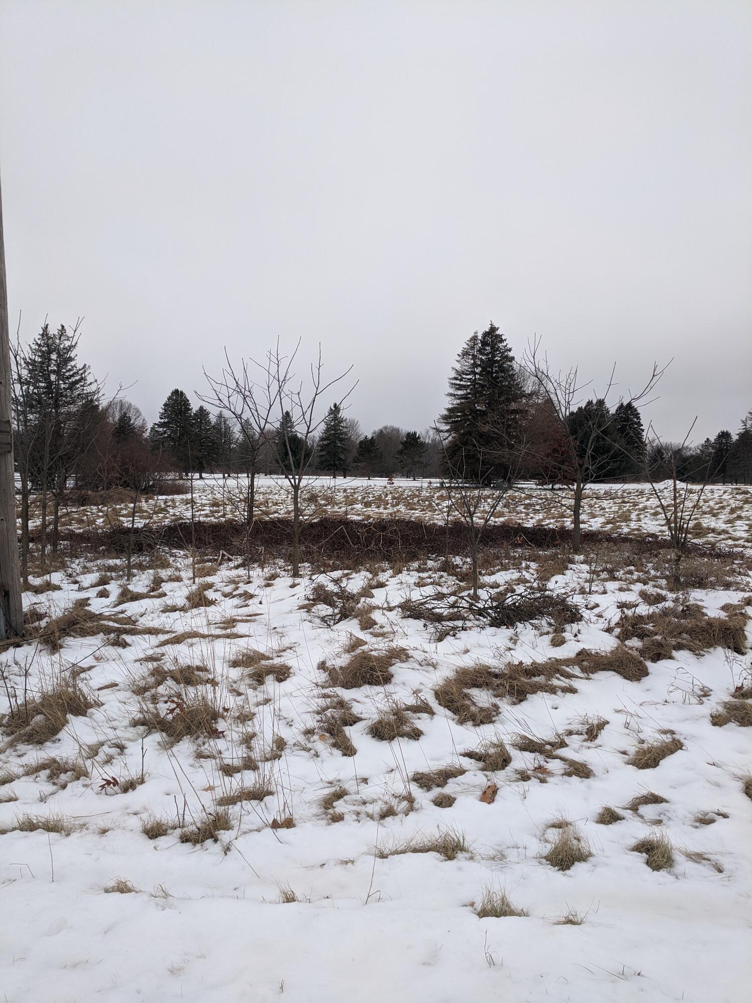 Three Rivers Mi 49093 Road Three Rivers, MI 49093 - Photo 1 of 1 Lot 11