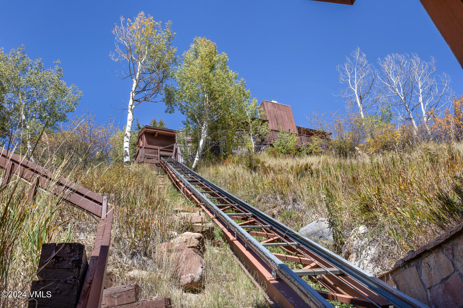 2701 Davos Trail Vail, CO 81657 - Photo 5 of 29 a view of a yard with plants