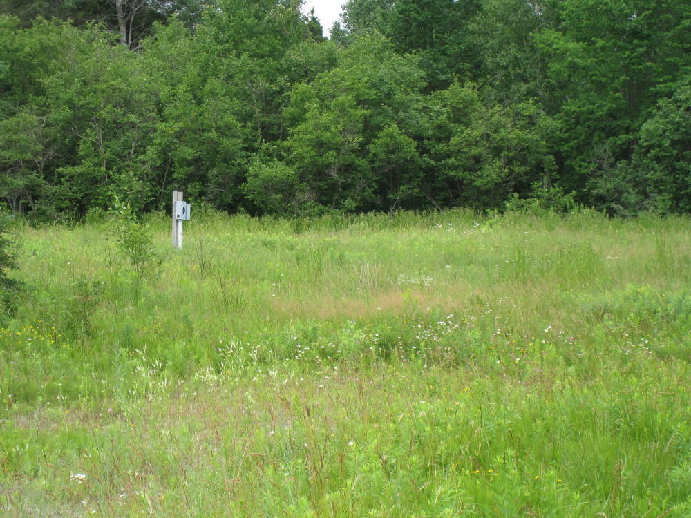 12144 West Irish Line Road Brimley, MI 49715 - Photo 1 of 4 Gallery Image 1