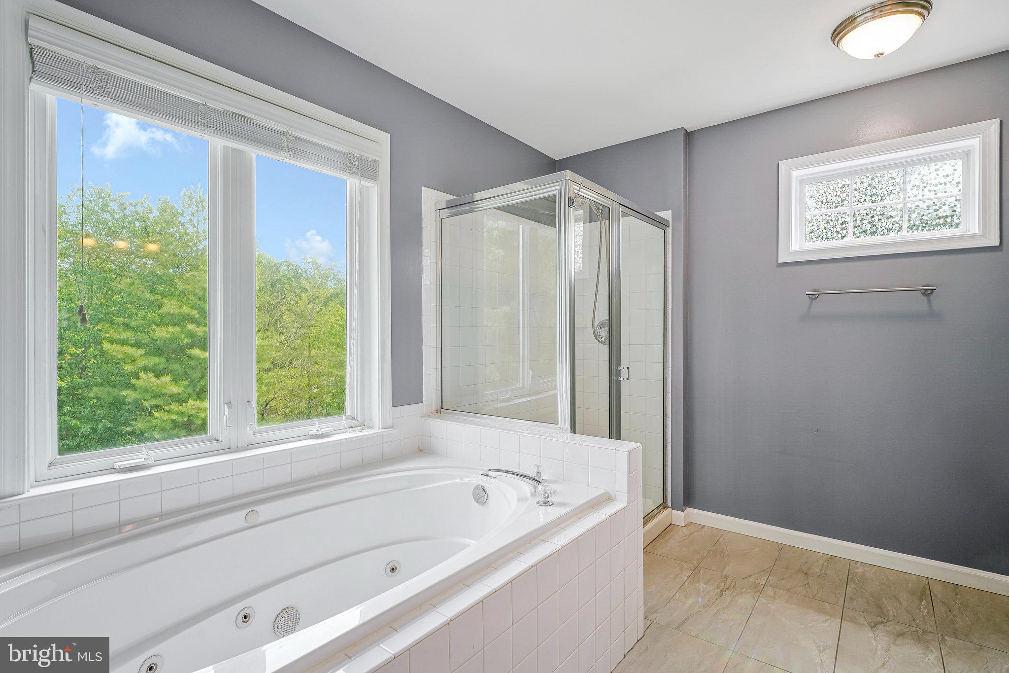 26222 Ocala Circle Chantilly, VA 20152 - Photo 33 of 74 Primary Bath With Soaking Jetted Tub