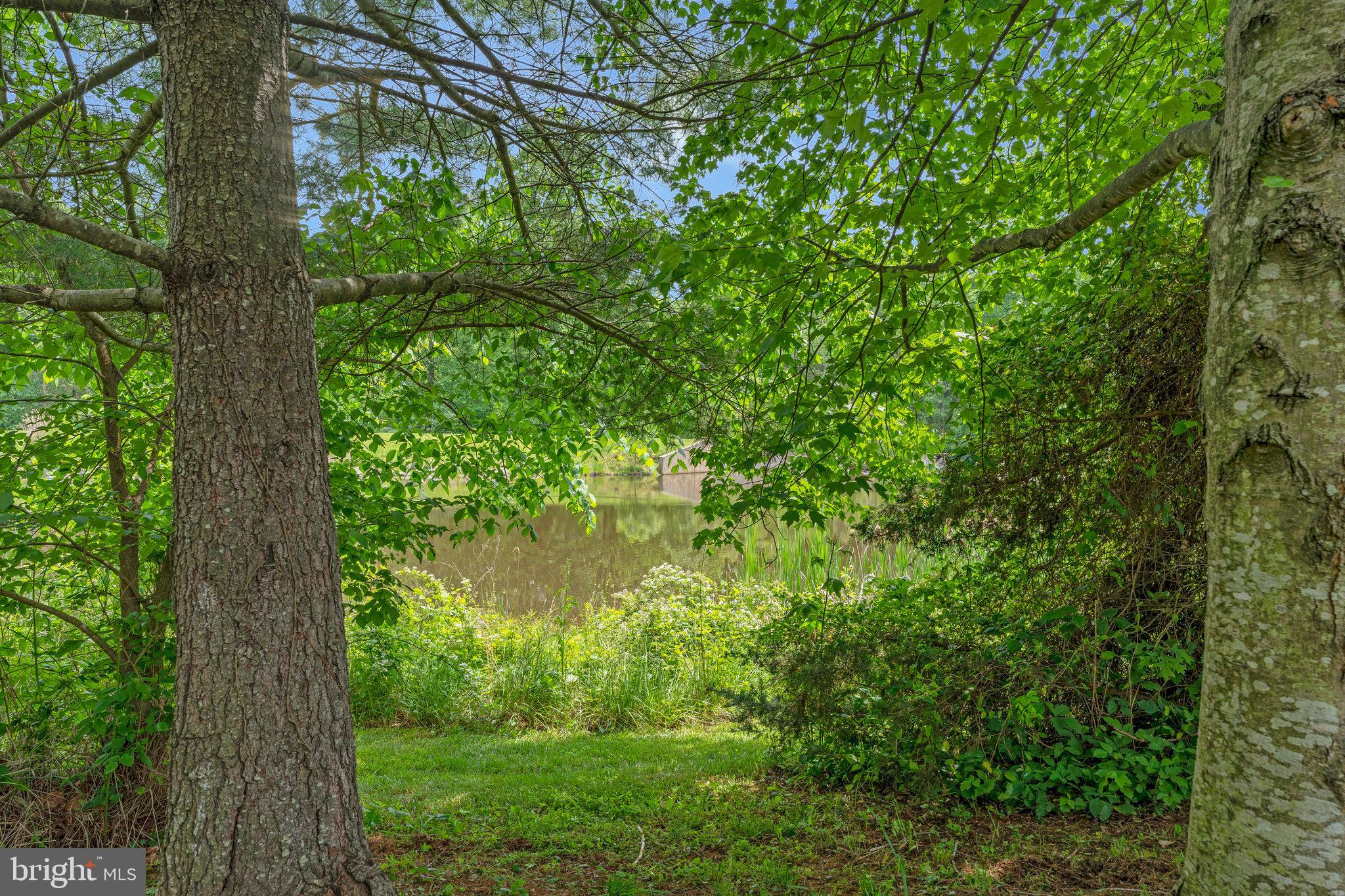 26222 Ocala Circle Chantilly, VA 20152 - Photo 70 of 74 View of Lake
