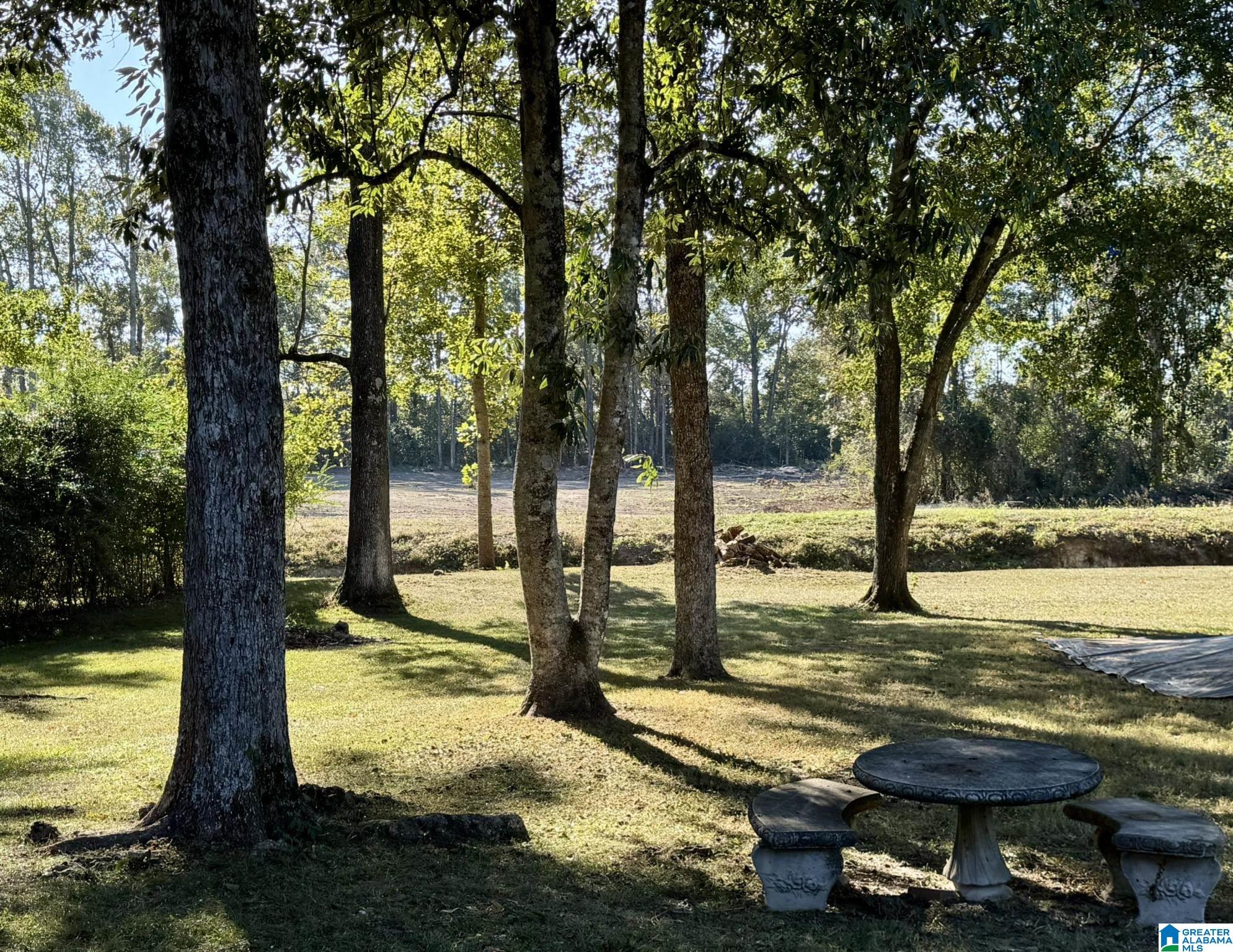 707 3rd Street Clanton, AL 35045 - Photo 13 of 13