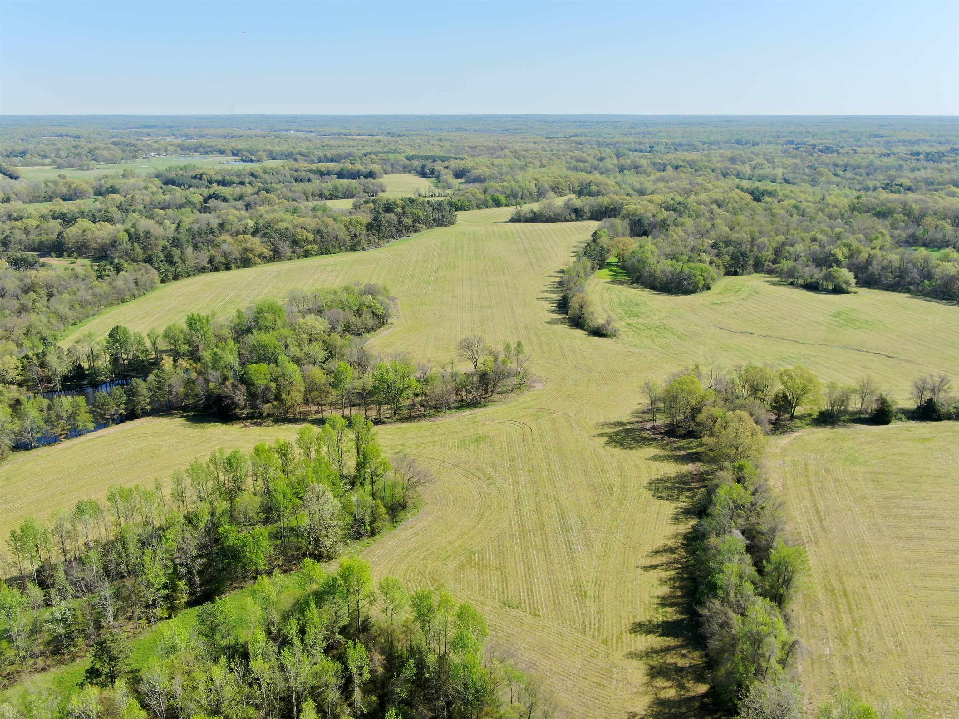 0 Burnett Road Williston, TN 38076 - Photo 5 of 40 Birds eye view of property with a rural view and a view of trees