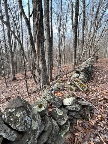 $85,000 | Lot 10 Alpine Drive, Bovina Center, NY 13740