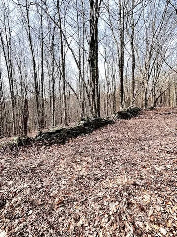 $85,000 | Lot 10 Alpine Drive, Bovina Center, NY 13740