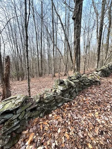 $85,000 | Lot 10 Alpine Drive, Bovina Center, NY 13740