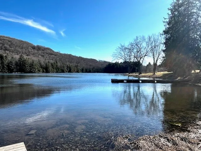 $85,000 | Lot 10 Alpine Drive, Bovina Center, NY 13740