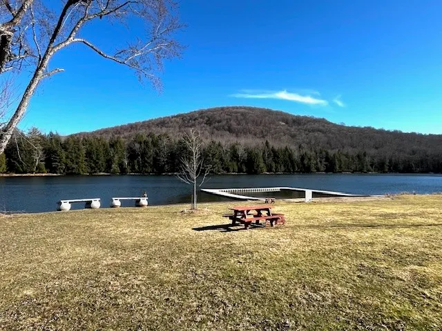 $85,000 | Lot 10 Alpine Drive, Bovina Center, NY 13740