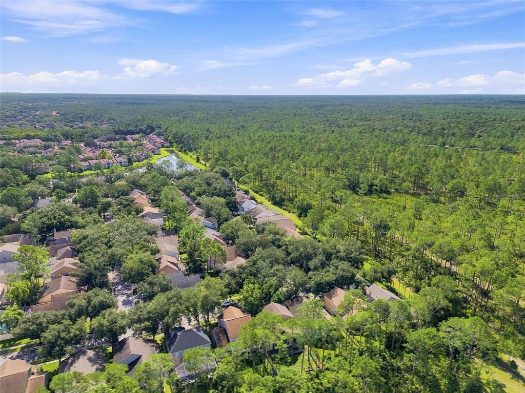 17708 Long Ridge Road Tampa, FL 33647 - Photo 68 of 100 Gallery Image 68