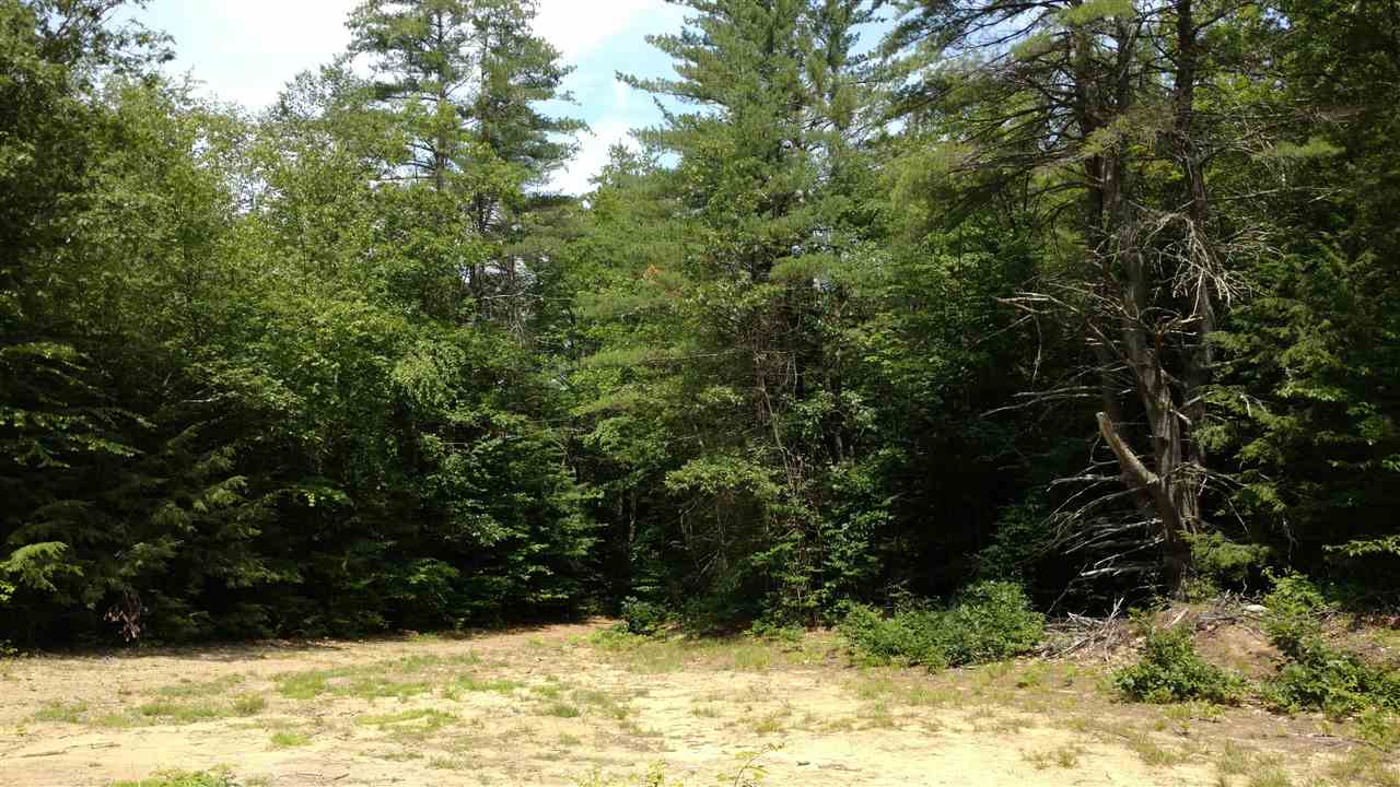 0 Holt Road Wilton, NH 03086 - Photo 2 of 8 Gallery Image 2