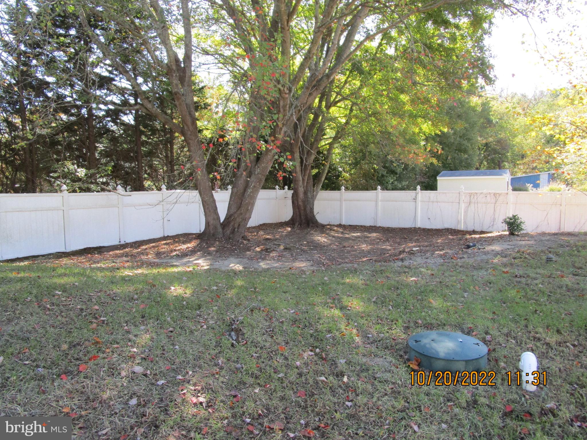 Rear Yard
