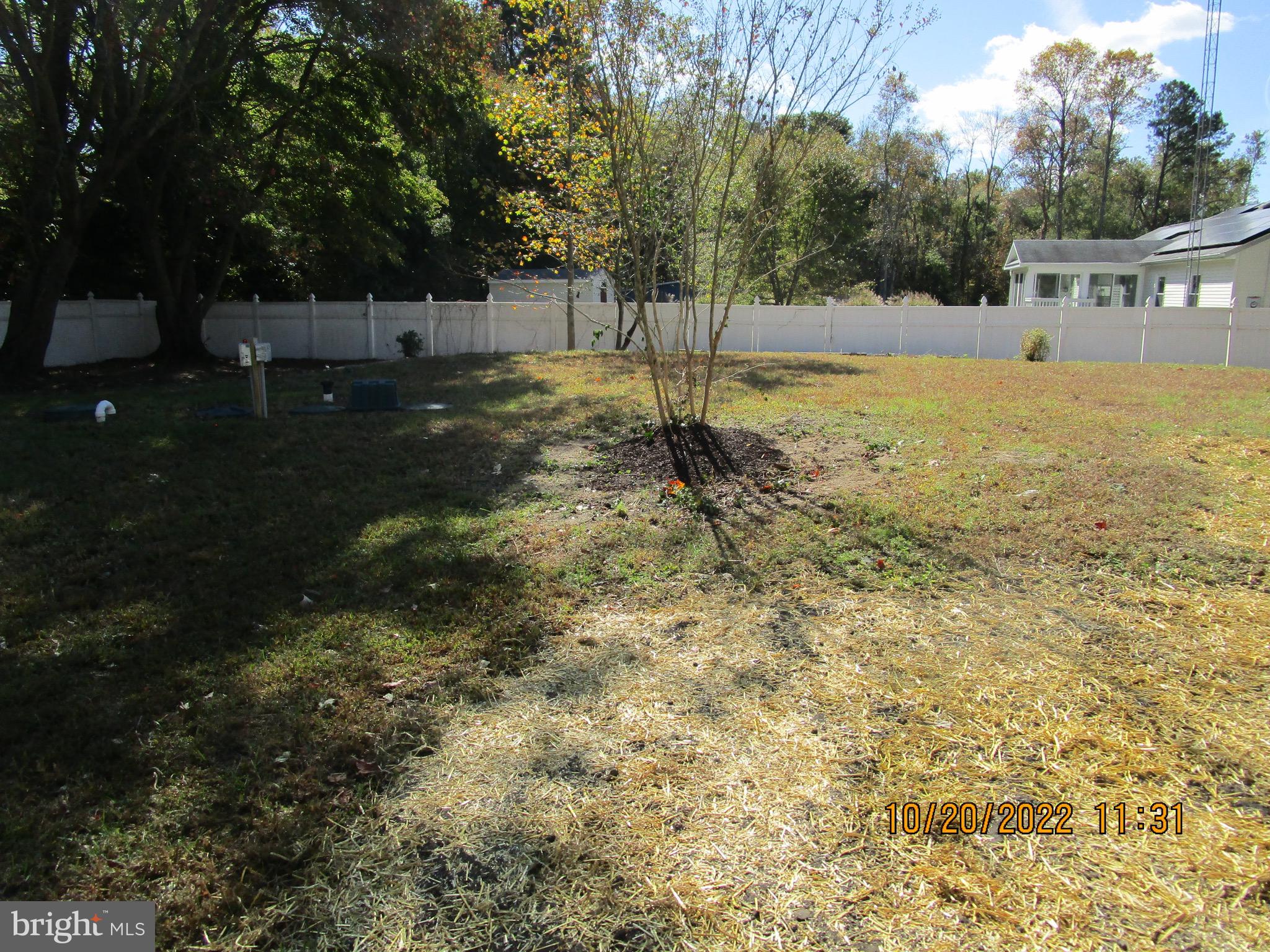 20187 Beaver Dam Road Lewes, DE 19958 - Photo 8 of 16 Rearyard View 2