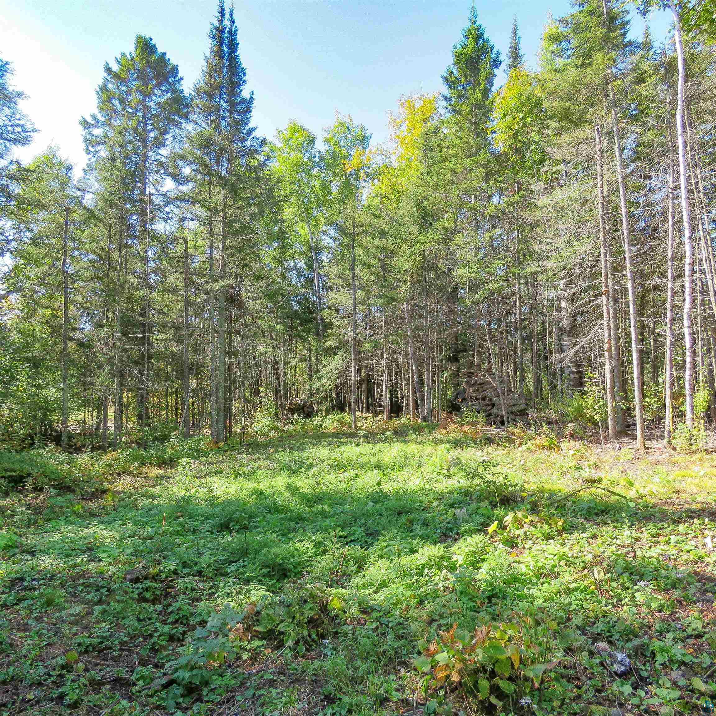 435 Cramer Road Schroeder, MN 55613 - Photo 14 of 59 Gallery Image 14