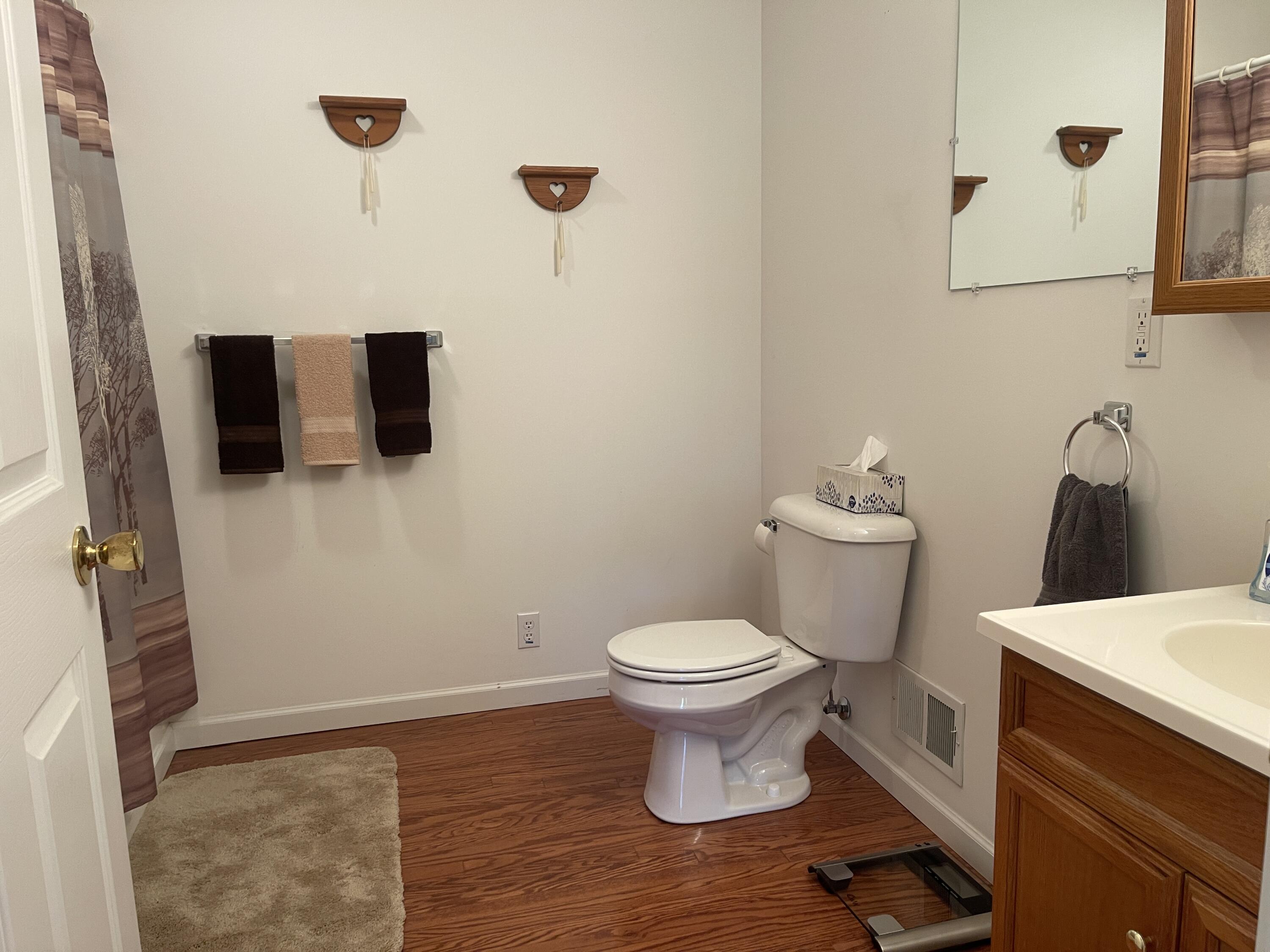 10240 Wilcox Road Onondaga, MI 49264 - Photo 12 of 51 IMG_3106 3