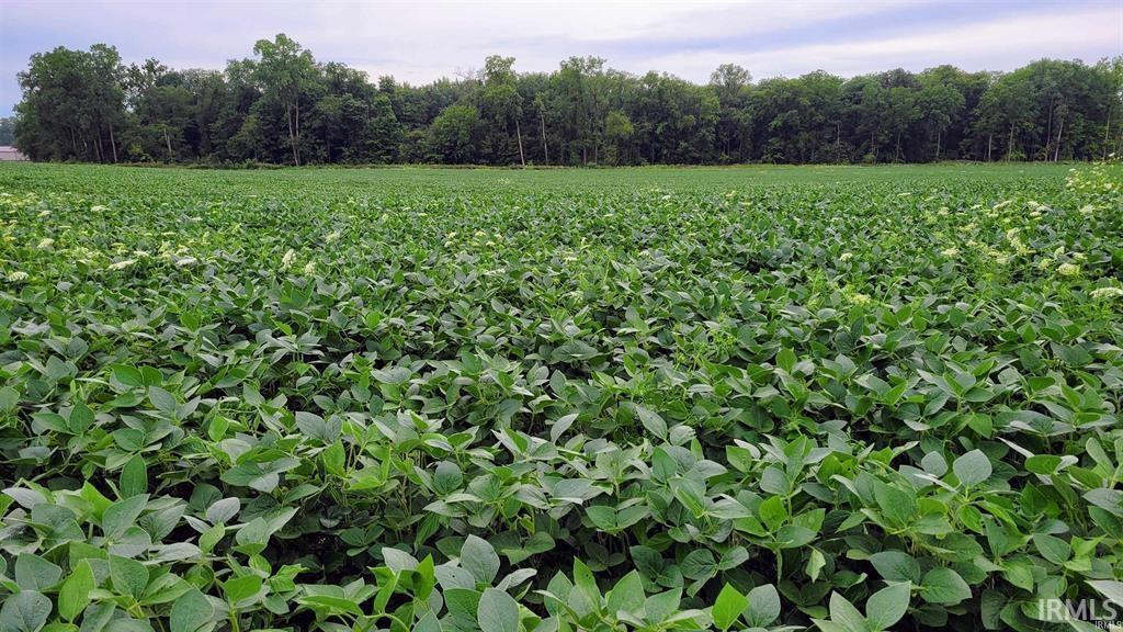 0 Scipio Harlan In 46743