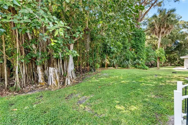 a view of a yard with a tree