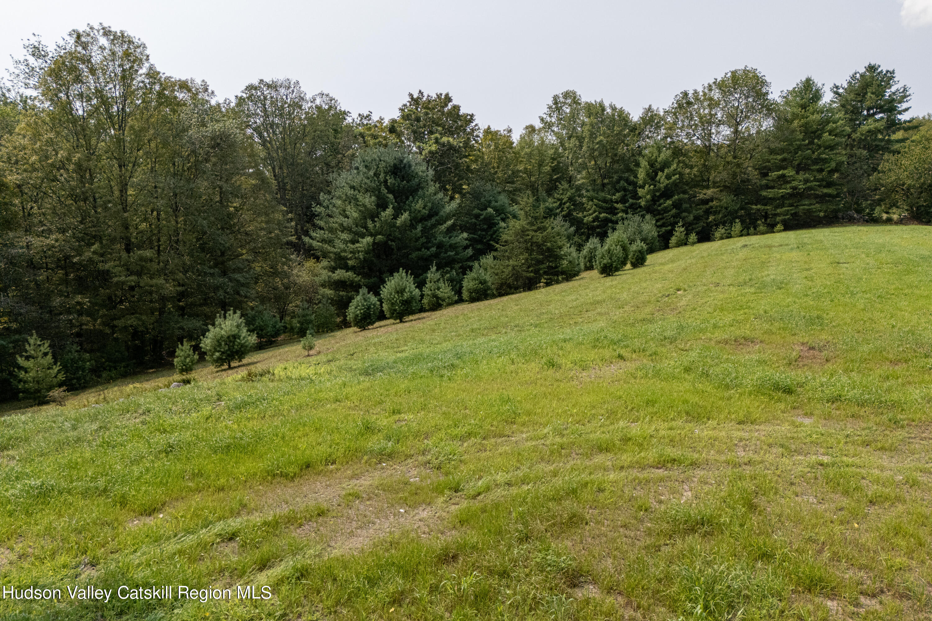 193 Lower Sahler Mill Road Olivebridge, NY 12461 - Photo 10 of 16 2024-FreshAirNY-193LowerSahler-LawrenceB