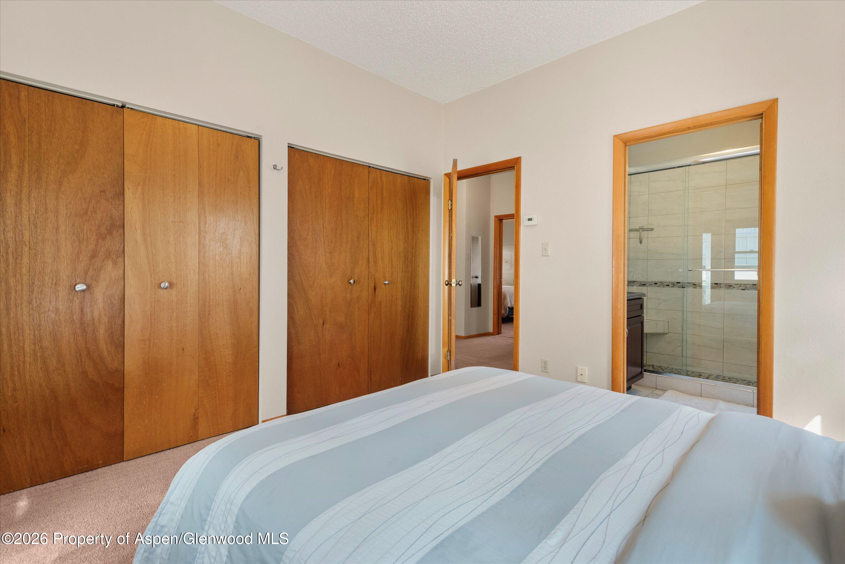 53 Spruce Street, Unit S 1 AND 2 Aspen, CO 81611 - Photo 53 of 67 24-24-536SpruceSt_250429024