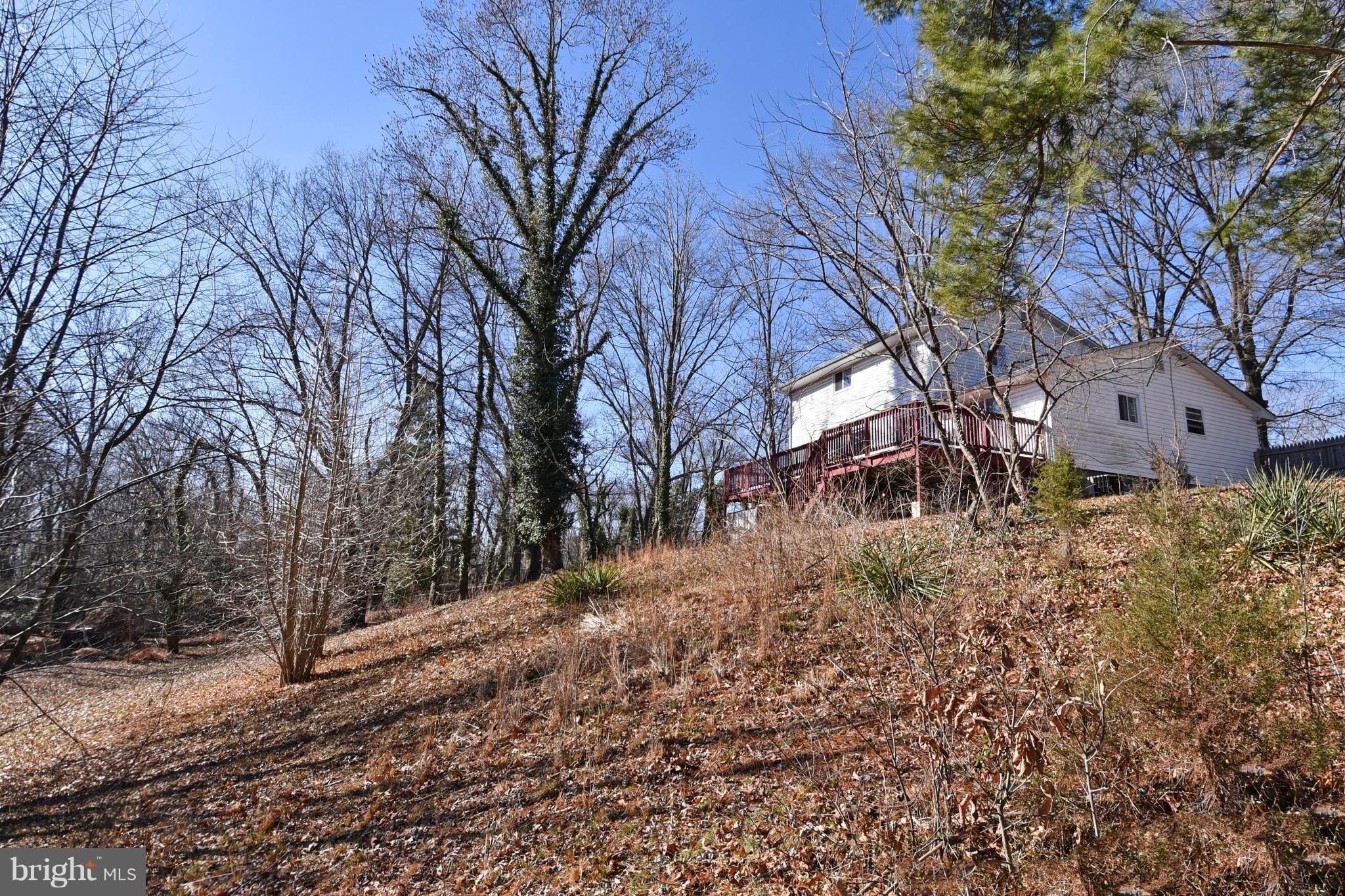 1711 Tioga Road Fort Washington, MD 20744 - Photo 15 of 30 Bath